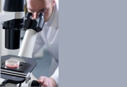 Peneliti Temukan Obat Manjur Leukemia