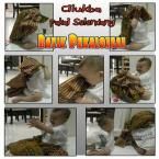 Benn Oliver Yapari, 11 Bulan; Lelaki; m