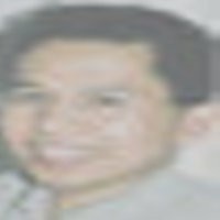 Marty, Havas, dan Dino 