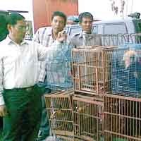 Penjualan Satwa Langka Kembali Digagalkan