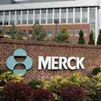 Schering-Plough dan Merck Indonesia Beroperasi Terpisah