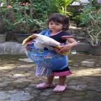 Ayuning Segalane, 3,1 Tahun; Perempuan; f