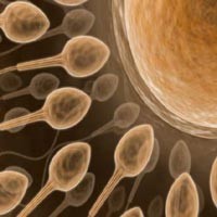 Sperminator Hamili 12 Gadis via Facebook