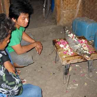 Ikan Berkepala Buaya Temuan Warga
