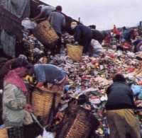 Tahun 2025, 40 Persen Sampah Bandung Diolah dengan 3R