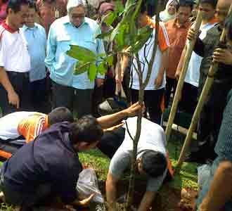 TK Tanam Pohon & Lepas Jangkrik