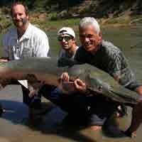 Ilmuwan Kanada Pernah Teliti Ikan Berkepala Buaya