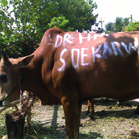 Penjual Hewan Kurban Dadakan Muncul di Surabaya