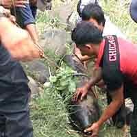 Pemulung Temukan Bom Peninggalan Perang Dunia kedua