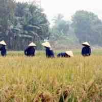 IDB Siapkan US$ 1 Miliar untuk Petani Miskin