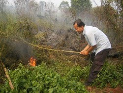 Walhi: SK Menhut Soal Perluasan HTI RAPP Berbau Korupsi