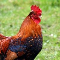 Cache, Tepatkah Disebut Tembolok? 