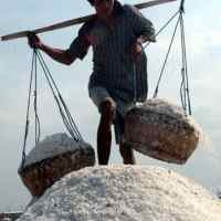 RI Belum Bisa Stop Impor Garam