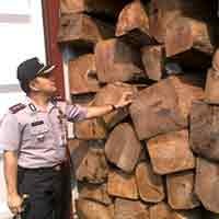 4 Kontainer Kayu Jati Diamankan