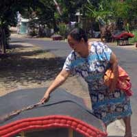 Tradisi Suku Using Jemur Kasur Massal