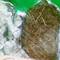 Polda Jabar Bakar Ganja Senilai Rp 7 Miliar