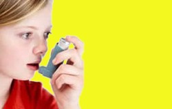 Asma Akibat Pekerjaan