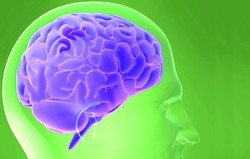 Olivopontocerebellar Atrophy