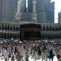 Pemerintah Saudi Imbau Perusahaan Travel Tak Layani Jamaah Ilegal