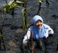 Menanam Bakau di PIK