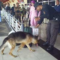 Polisi Gencar Razia Narkoba di Stasiun Pasar Turi