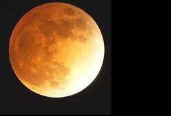 Epilepsi Terkait Dengan Fase Bulan