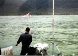 Trauma Berlayar, 254 Penumpang Selamat Belum Bisa Dipulangkan