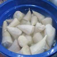 Rebung si Anak Bambu