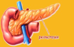 Pancreas Divisum