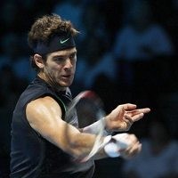 Atasi Verdasco, Del Potro Jaga Peluang