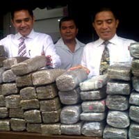 Ratusan Kilo Ganja Milik Jaringan Jawa-Bali Disita