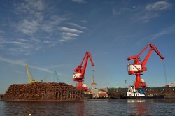 Kelaparan, Aktivis Greenpeace Akhirnya Turun dari Crane