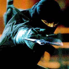 Ninja Assassin: Pemberontakan Ninja