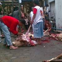 PKS Kota Bandung Siapkan 1.106 Paket Kurban