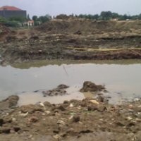 Niat Kurban Kambing, Malah Korban Nyawa