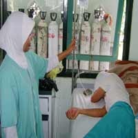 Ibu dan Dua Anaknya Keracunan Setelah Makan Jamur 