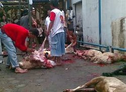 Telkom Bandung Bagikan 9.000 Paket Daging Kurban 