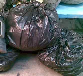 Penjual Arang Panen