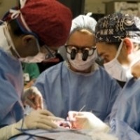 Mantan Ratu Kecantikan Tewas Setelah Operasi Plastik