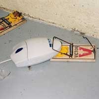 Iklan Seks Palsu Jerat Predator Online