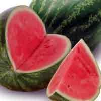 Mahasiswa Kediri Dukung Pembebasan Dua Pencuri Semangka