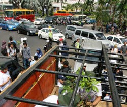 Ribuan Pengendara Berebut Bibit Pohon Gratis di HI