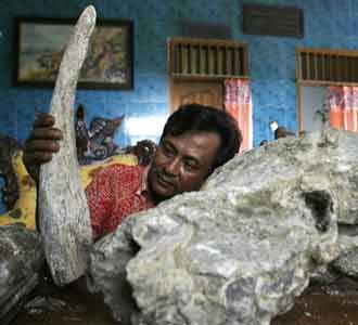 Fosil Gajah Purba di Bojonegoro
