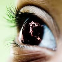 Ya, Lihat Saja Sendiri!