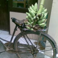  Curi Pisang, Mbah Klijo Ditahan di Lapas Sleman