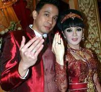 Resepsi Terry Putri dan Johan
