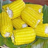 Gara-gara Lima Batang Jagung, Parto Berurusan dengan Hukum 