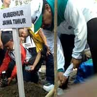 Tol Romokalisari Dihijaukan Gubernur