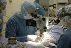 Transplantasi Ginjal Berisiko Tinggi Berhasil Dilakukan