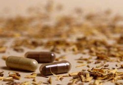 Obat Kuat dari Herbal Ternyata Mengandung Viagra